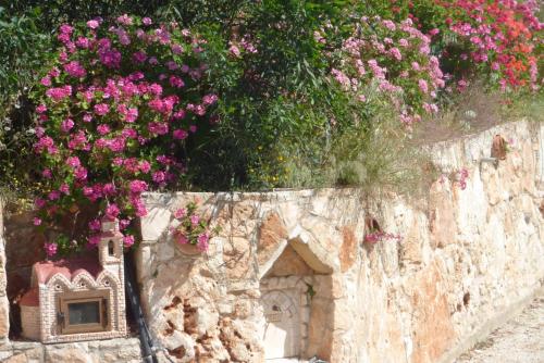 Eliofos Elegant Maisonettes - image 7