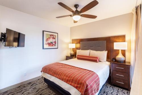 Scottsdale Camelback Resort - Tap to explore photos