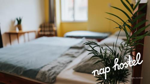 Nap Hostel Pécs