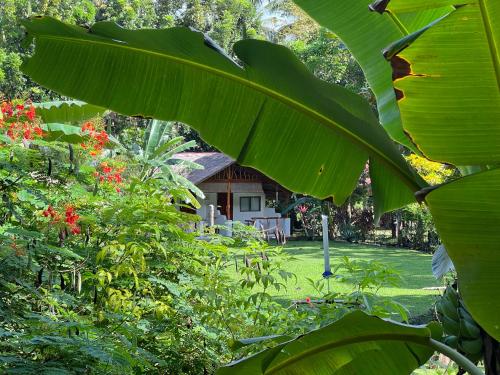 Nypa Style Resort Camiguin Room Type - King Room with Garden View