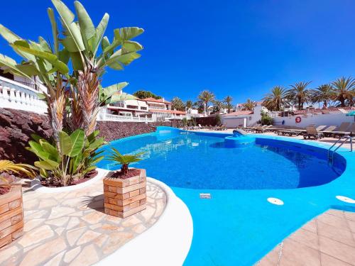Modern studio in complex Paraiso Royal LA95