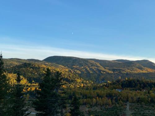 Le Harfång - Vue spectaculaire sur le Mont Edouard