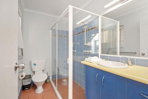 Driftwood on the Beach