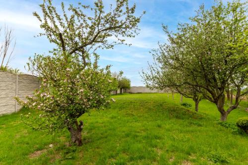 Apartmánový dům Vilémovice