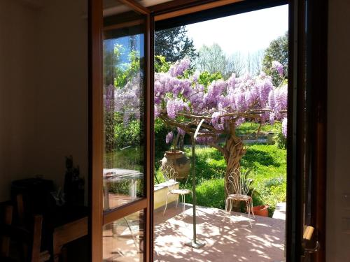  Apartment San Damiano 45, Pension in Florenz