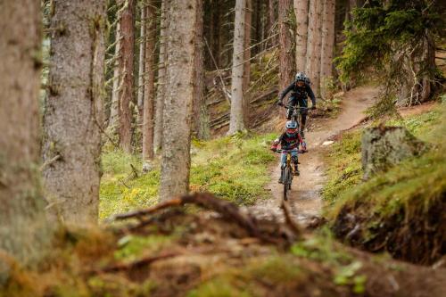 Holidayhome OMYXL - image 14