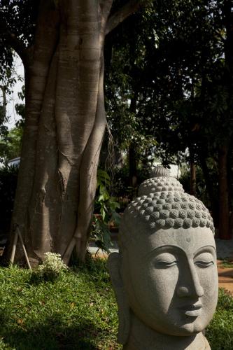 Waterwoods Lodge Kabini