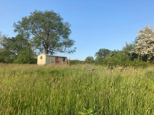 The Dragon's Hut with swimming pool