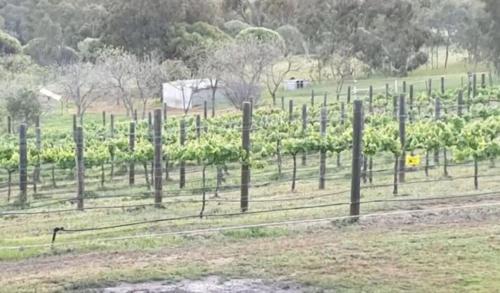 Valley View Cottage in the picturesque Avon Valley