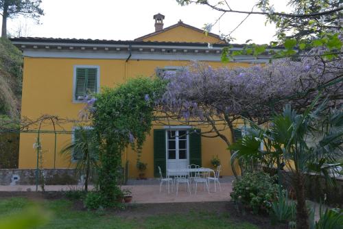 Villa Lucchesi 4