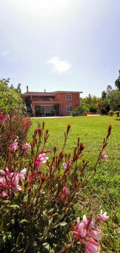 Home Garden