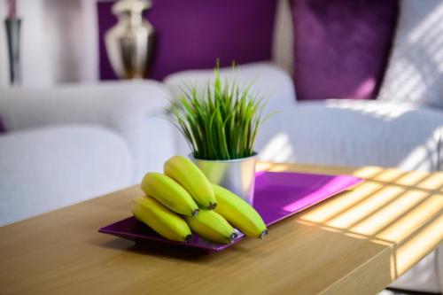 Purple Blossom, 2 bed apartment, Wi-Fi, near Didsbury, free parking, Manchester (fotografie 10)