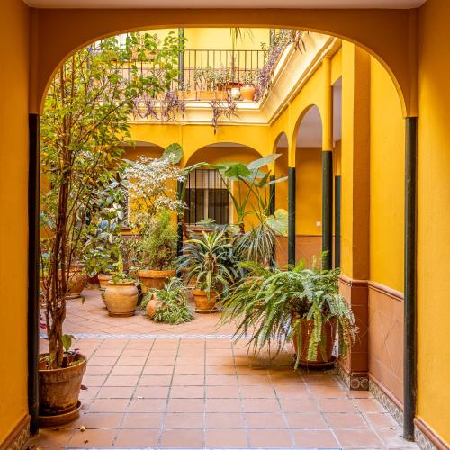 La casa de Jacobo, Sevilla (Foto 3)