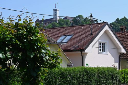 Krakovska apartments, Lublaň