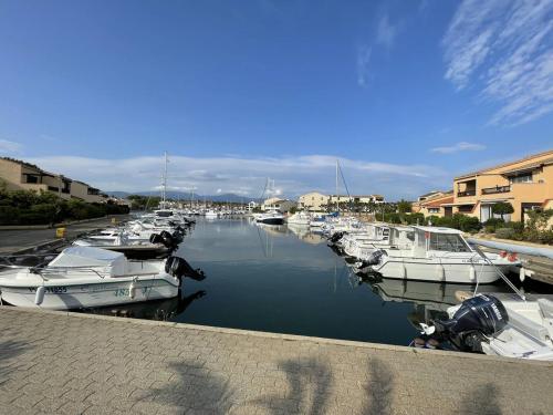 T3 calme avec terrasse, clim et parking proche plage - FR-1-106-45 - Location saisonnière - Saint-Cyprien
