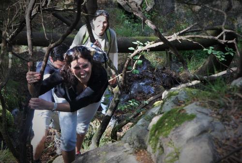 Quintinha D`Arga - image 14