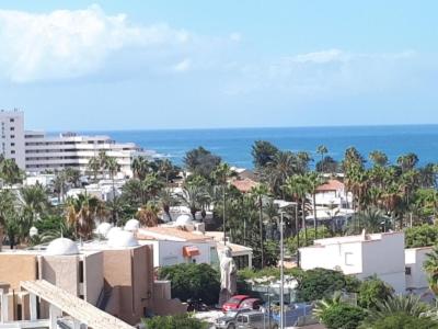 OCEAN VIEW, WIFI FREE, PLAYA LAS AMERICAS, Адехе (фото 4)