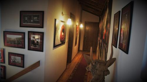 Quintinha D`Arga - image 7