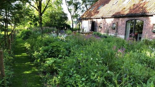 Surrounding environment, de Zeilende kraay in Arnhem