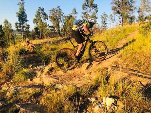 Grey Goose Game Lodge Grey Goose Game Lodge