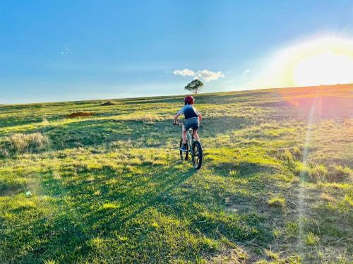 Grey Goose Game Lodge Grey Goose Game Lodge