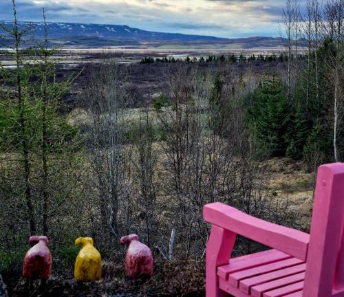 Kaldá Lyngholt Holiday Homes - image 5
