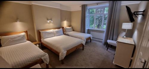 Salamander Guest House - image 7