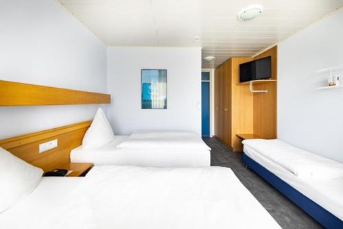 3 twin beds