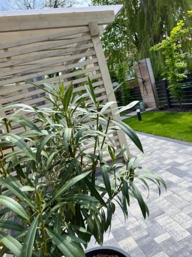 Apartamenty Naturapart