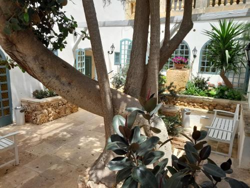 Cornucopia Hotel in Gozo