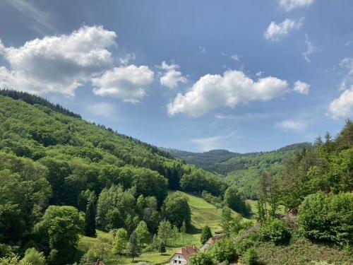 La belle vallée - Location saisonnière - Lalaye