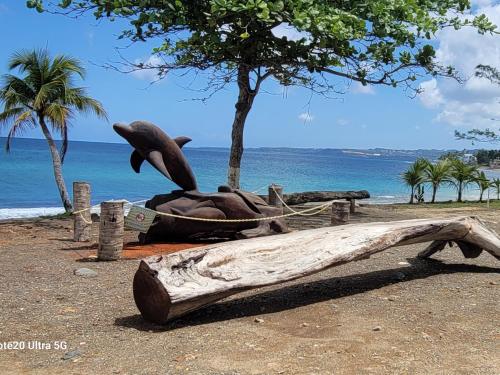 Tempat wisata terdekat, Casita Playera Aguadeña (Casita Playera Aguadena) in Aguada