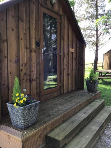 Cow Close Camping Pods 3