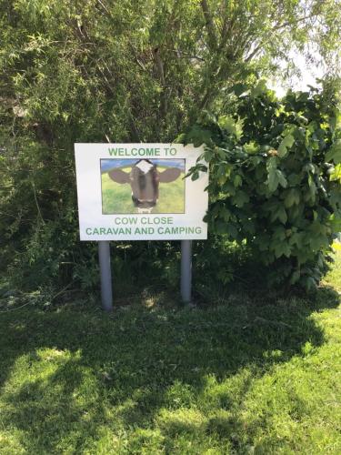 Cow Close Camping Pods