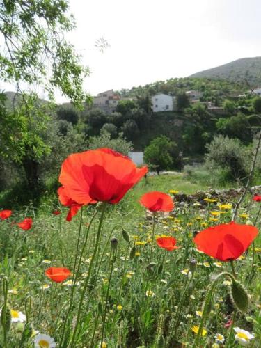 El Marqués, magnífica casa rural con piscina