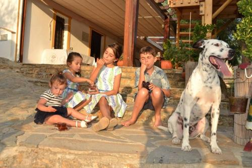 El Marqués, magnífica casa rural con piscina