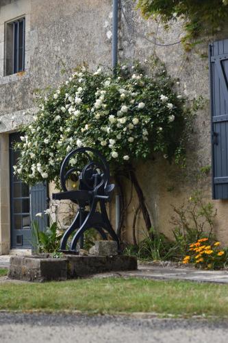 Un jardin et trois maisons