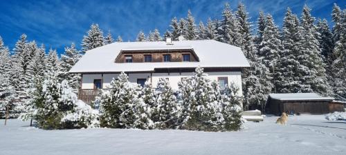 Viesnīcas āriene, Pension Helena Honesová (Pension Helena Honesova) in Horská Kvilda