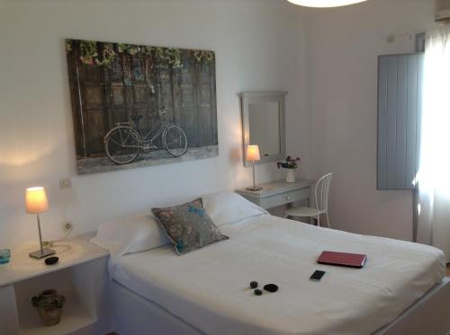 Alonia Studios - main image