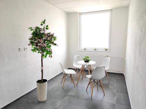 Deluxe Apartment with Air Conditioning