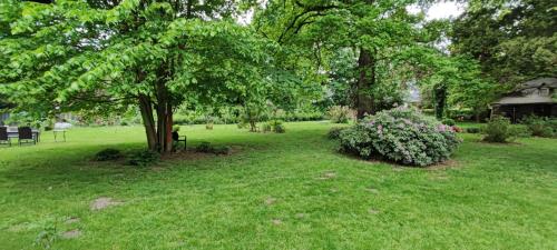 Villa Kunterbunt, Gemütlichkeit am Waldesrand