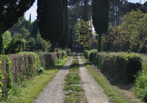 Armonie di Villa Incontri B&B - main image