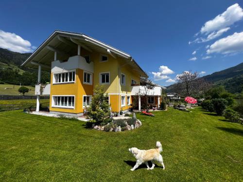 Appartement Christine - Apartment - St Johann im Pongau