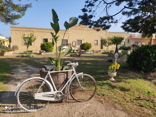 Masseria Don Egidio - Strudà