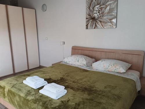 Apartment, 200m from sea, Brtonigla (photo 3)