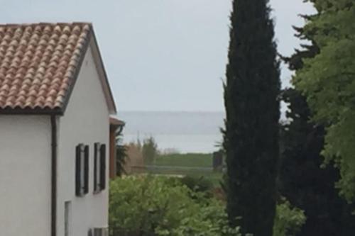 Apartment, 200m from sea, Brtonigla (photo 7)