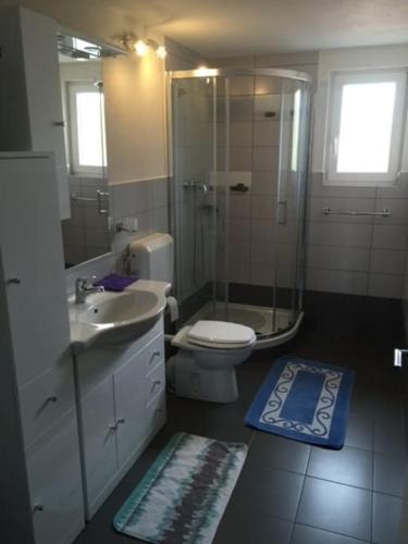 Apartment, 200m from sea, Brtonigla (photo 9)