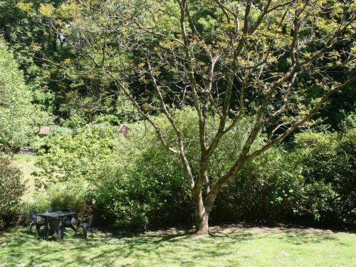 Mill Cottage Tintagel - image 3