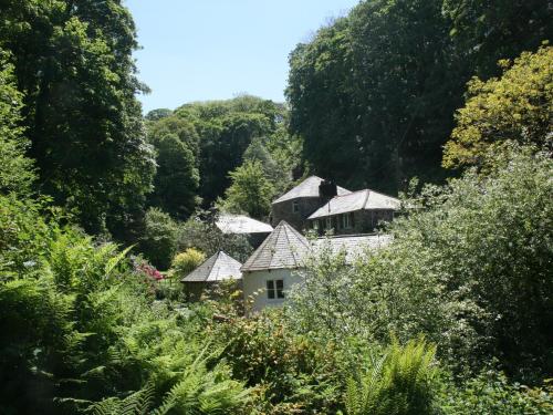 Mill Cottage Tintagel - image 8