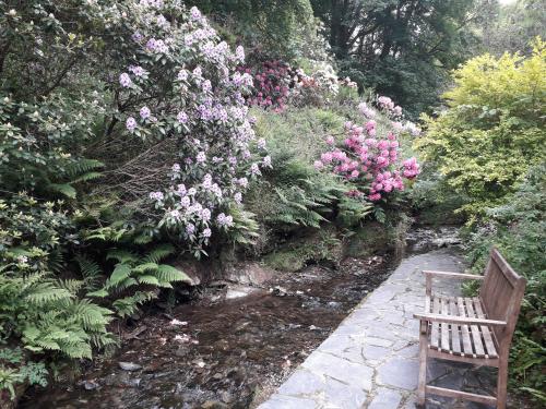 Mill Cottage Tintagel - image 5